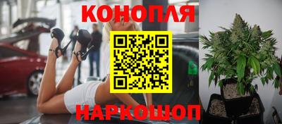 МДМА Новозыбков