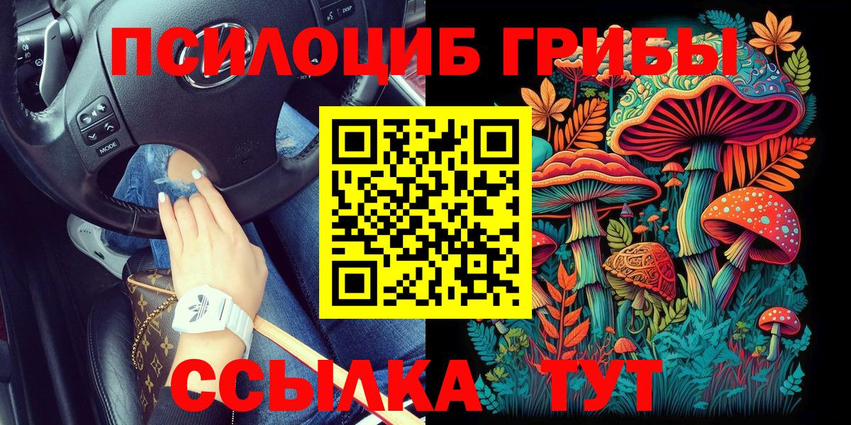 Псилоцибиновые грибы Psilocybine cubensis Миасс