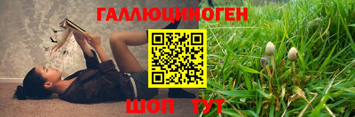 Миасс  Псилоцибиновые грибы Psilocybine cubensis  Вход с VPN 